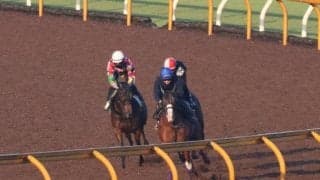 きょうだいともに2億円ホース フレミングフープが京都で初陣/関西馬メイクデビュー情報