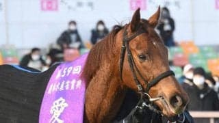 【先週のJRA抹消馬】牝馬路線で活躍のルビーカサブランカやホウオウイクセル、新潟記念制したブラヴァスなど
