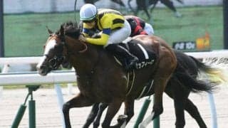 AR共和国杯想定騎手22頭 重賞初制覇を狙うゼッフィーロはJ.モレイラ騎手