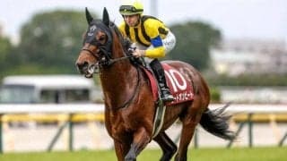 【AI予想・AR共和国杯】前走の人気と4角の位置取りが勝敗を左右する!? 本命候補3頭は当舞台で優れた実績残す実力馬