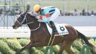 新馬戦7馬身差Vのシュークリームは団野大成騎手 ファンタジーS想定騎手19頭