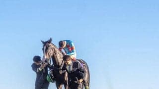 イクイノックスの総獲得賞金が17億1158万2100円に到達 ジャパンCで1着なら首位浮上