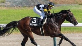 ドゥラメンテ×米最優秀3歳牝馬 みやこSで良血馬がタイトル奪取だ