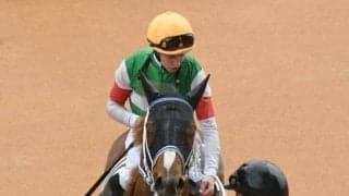 無傷4連勝中のセラフィックコールはM.デムーロ騎手 みやこS想定騎手18頭