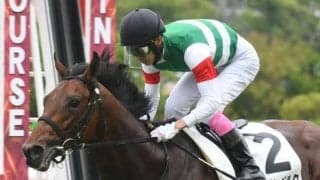 【京王杯2歳S展望】朝日杯FSの前哨戦、ミルテンベルクに期待したい