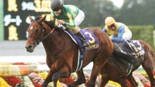 新・京都競馬場で活躍中の血統を紹介 父仔ともに淀を得意としているのは？