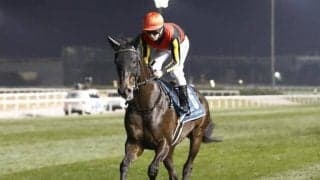 【BCターフ枠順】シャフリヤールは1番ゲート、オーギュストロダンは5番ゲートなど13頭