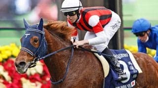 【BCF＆Mターフ枠順】日本のウインマリリンは5番ゲート、G1連勝中の3歳馬ウォームハートは2番ゲートなど12頭