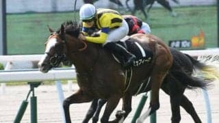 【アルゼンチン共和国杯予想オッズ】ゼッフィーロが予想1番人気