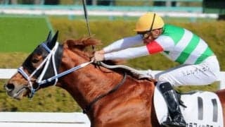 デビュー戦は8馬身差V 無傷4連勝中の怪物候補がみやこSで重賞初制覇に挑む