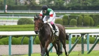 【京王杯2歳S予想オッズ】ミルテンベルクが予想1番人気