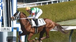 【みやこS予想オッズ】セラフィックコールが予想1番人気