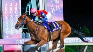 【大井・ハイセイコー記念結果】ダテノショウグンが8馬身差圧勝！無傷の5連勝で初重賞制覇