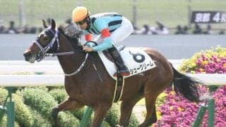 【ファンタジーS予想オッズ】シュークリームが予想1番人気