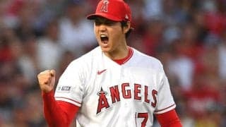 大谷翔平のドジャース移籍が”最適”である理由をLA紙が力説！「WS実績、選手環境、そして治療の経験も」