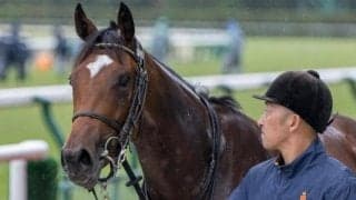 【ファンタジーS展望】阪神JFの前哨戦、距離短縮組が活躍傾向