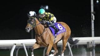 【門別・エーデルワイス賞注目馬】昨年はJRA勢が上位独占 道営勢の巻き返しなるか