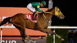 【BCクラシック】ウシュバテソーロの1強か……“強豪”ベルモントS覇者が出走取消・引退へ