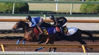 サリエラ＆ククナ、エリザベス女王杯1週前追い切り速報/栗東トレセンニュース