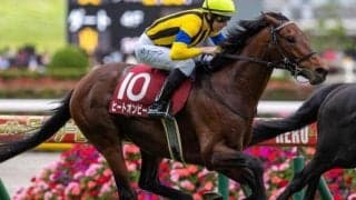 史上初の友道厩舎×木幡巧也騎手 目黒記念覇者がAR共和国杯で2つめのタイトル狙う