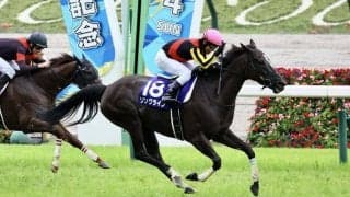 【ブリーダーズカップ】日本馬近況…ソングライン林師「新たなチャレンジ」