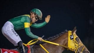 【ブリーダーズカップ】ウシュバテソーロは8番ゲートから…高木師「並びをみてジョッキーと相談」