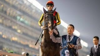 【ブリーダーズカップターフ】出馬表確定…シャフリヤールが参戦