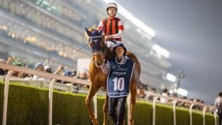 【ブリーダーズカップフィリー＆メアターフ】出馬表確定…ウインマリリンが参戦