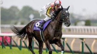 ソングラインの林徹調教師「馬の雰囲気も良い」米BCへ出走予定の各陣営がコメント