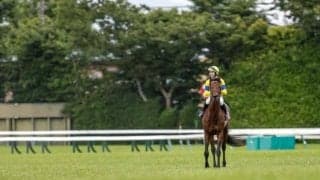 【AR共和国杯予想】AIが指名する上位人気グループの馬 堅く収まりがちな傾向からも無理に嫌う必要はナシ？