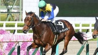 【AR共和国杯展望】好走傾向に合致するアーティットに期待したい