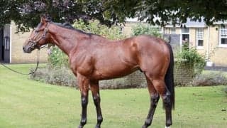 【海外競馬】キーファーズ所有 ソーデュースがニューマーケットでデビュー