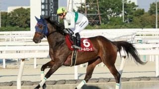 【園田・楠賞】ボヌールバローズが快勝…カラ馬に絡まれるアクシデントも