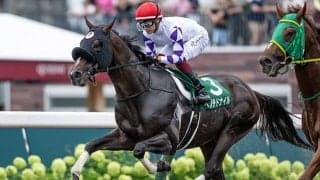 【みやこS展望】チャンピオンズCの前哨戦、逃げ先行馬が活躍する