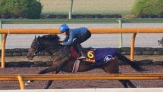 ジェラルディーナ、エリザベス女王杯1週前追い切り速報/栗東トレセンニュース