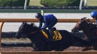 ブレイディヴェーグ、エリザベス女王杯1週前追い切り速報/栗東トレセンニュース