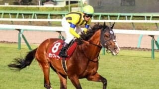 【AR共和国杯】上位人気が想定されるゼッフィーロが抽選突破 鞍上はJ.モレイラ騎手