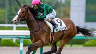 良血馬ヒヒーン ファンタジーSで重賞初制覇なるか