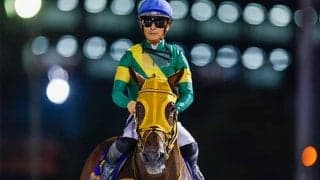 ウシュバテソーロは川田騎手を背に追い切り「動きも問題なく順調にきています」米BC出走予定の各陣営がコメント