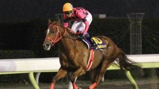 3連単の払戻金額は250円！ 歴史的名馬による“2強対決”/11年・JBCクラシックプレイバック