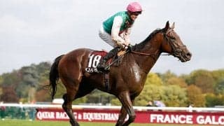 愛ダービー馬ウエストオーバーが優駿SSへ 凱旋門賞2着がラストラン