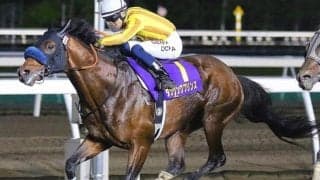 13回阻まれてきたJBCスプリント連覇の壁…史上初の快挙なるか