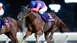 大井は任せろ！ メイショウハリオがJBCクラシック初制覇狙う