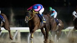 【JBCクラシック】浜中俊騎乗、メイショウハリオは7枠7番へ