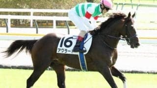 米G1馬の父×ダート重賞馬の母…イメージとは真逆!? 切れ味武器に京王杯2歳Sで重賞初V狙う