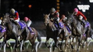 JBCレディスCの主役は4歳馬！ 昨年覇者を筆頭に重賞4勝馬や南関女王ら強力メンバー