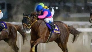 【JBCクラシック注目馬】メイショウハリオがJpnI・4勝目飾るか 