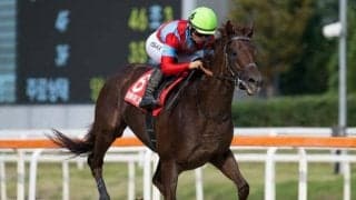 【JBCスプリント注目馬】15頭中13頭が重賞ウイナー 豪華メンバー集った短距離王決定戦