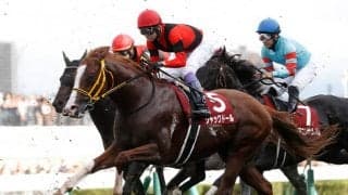 天皇賞(秋)11着のジャックドールは年内休養へ 藤岡師「目標は大阪杯の連覇」