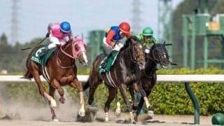 【JBCレディスC】ライオットガールは岩田望来騎手から森泰斗騎手に変更 今年のレパードS覇者